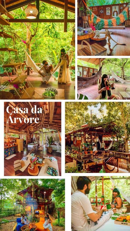 Casa Da Arvore, Sonho Na Amazonia, 2Min A Pe Da Praia Alter do Chão Exterior foto