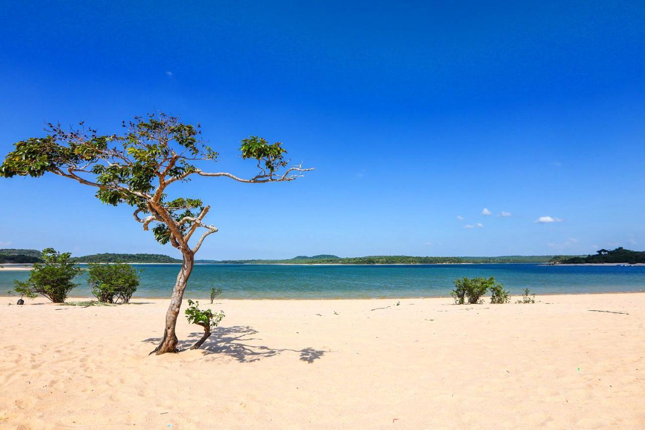 Casa Da Arvore, Sonho Na Amazonia, 2Min A Pe Da Praia Alter do Chão Exterior foto